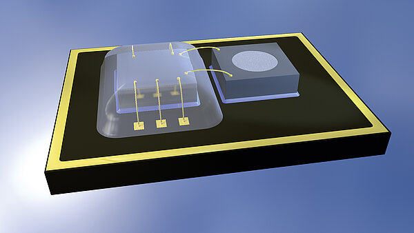 MEMS Packaging Display