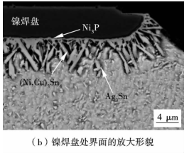 镍焊盘处界面放大形貌