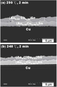 Sn/Au/Cu焊接微观结构