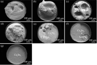 不同温度下Cu/SAC305/Cu焊点的断裂表面
